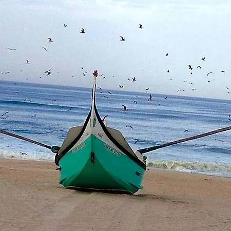 Greenside Of Sea *